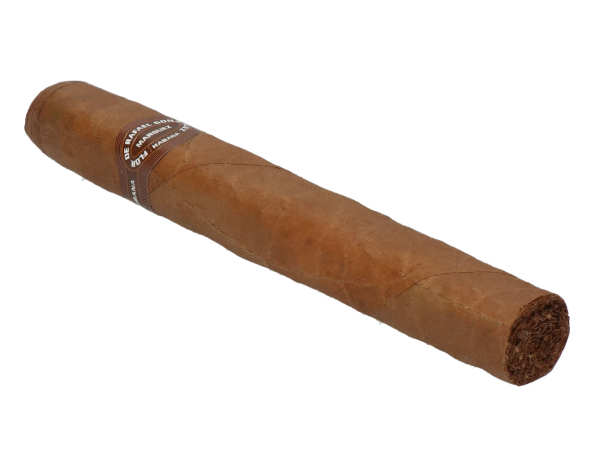 Rafael Gonzalez Petit Coronas – Bild 7
