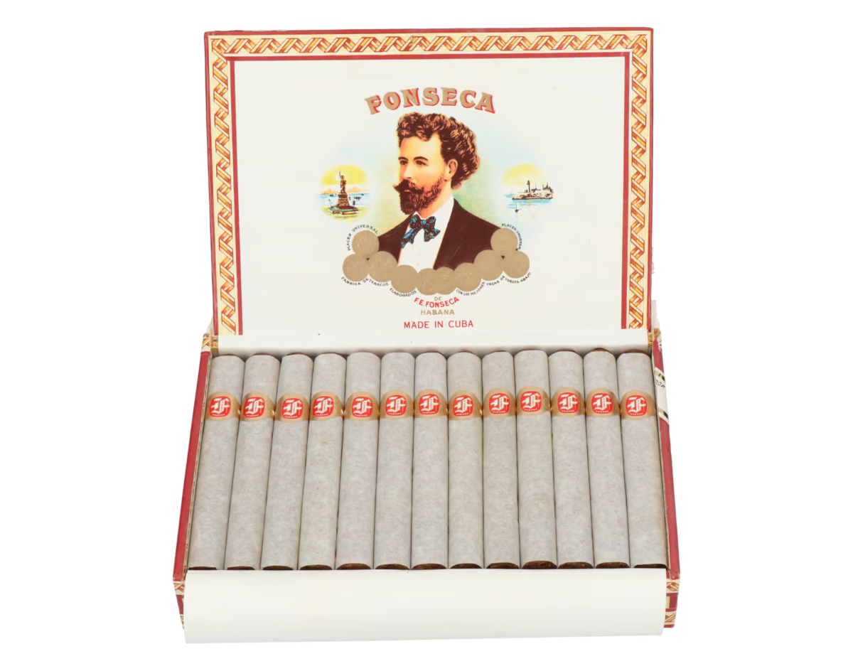 Fonseca Delicias - Februar 2015 – Bild 2