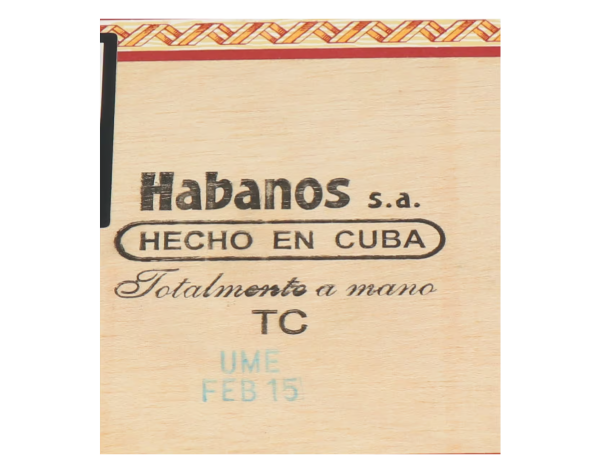 Fonseca Delicias - Februar 2015 – Bild 3