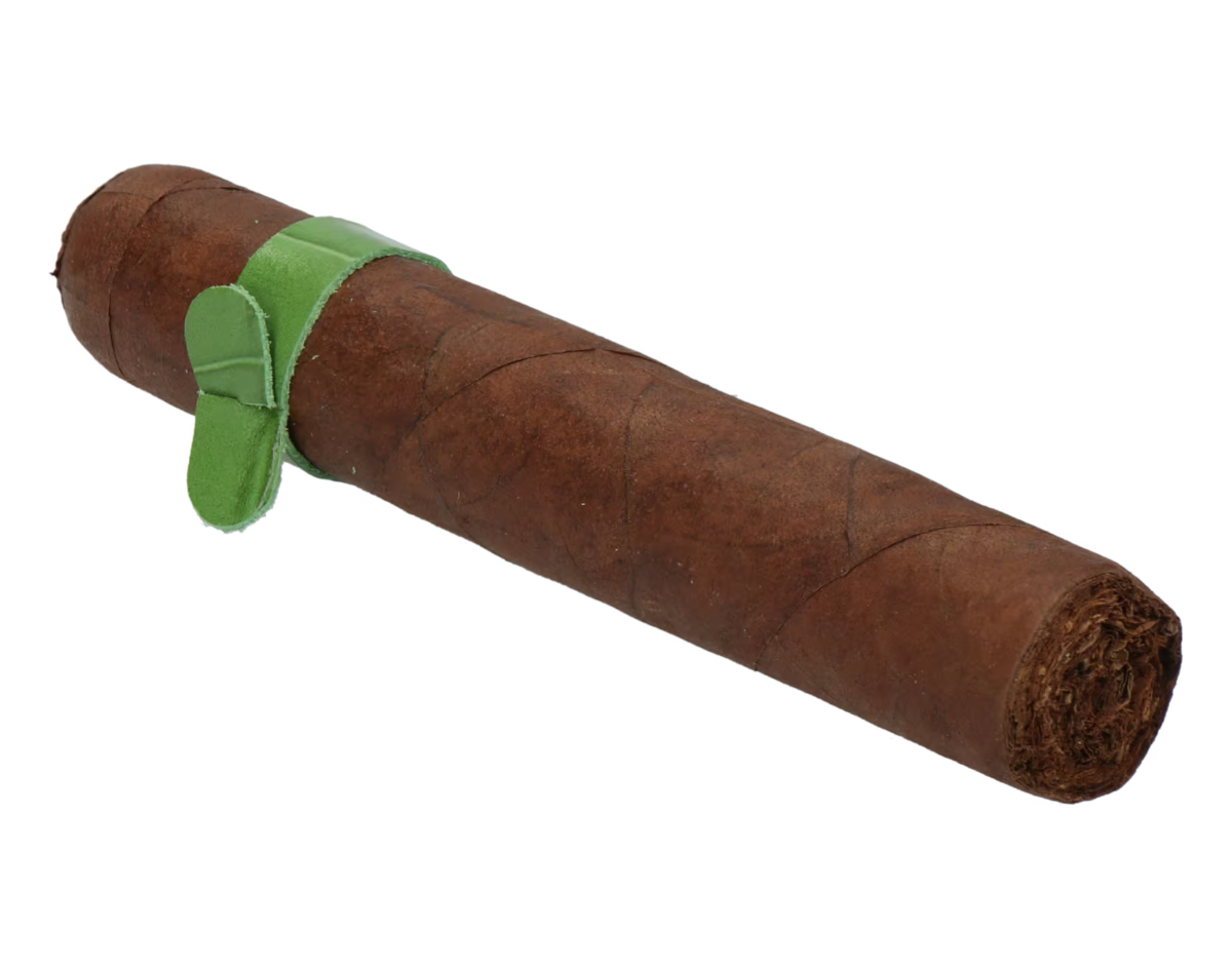Skinhead Everglade Robusto – Bild 7
