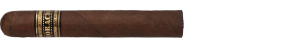 Horacio Maduro H1