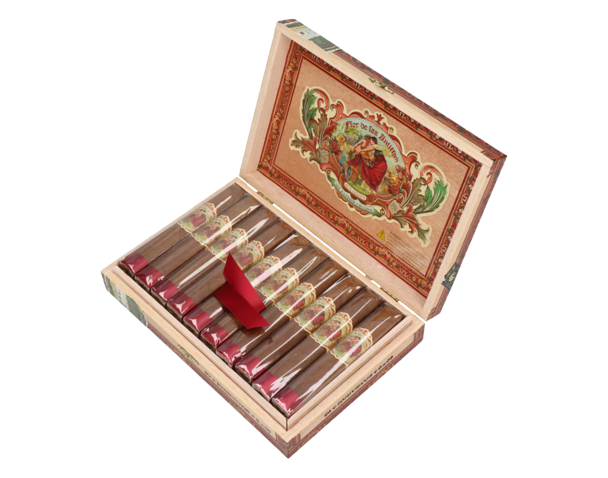 My Father Flor de las Antillas Robusto – Bild 4