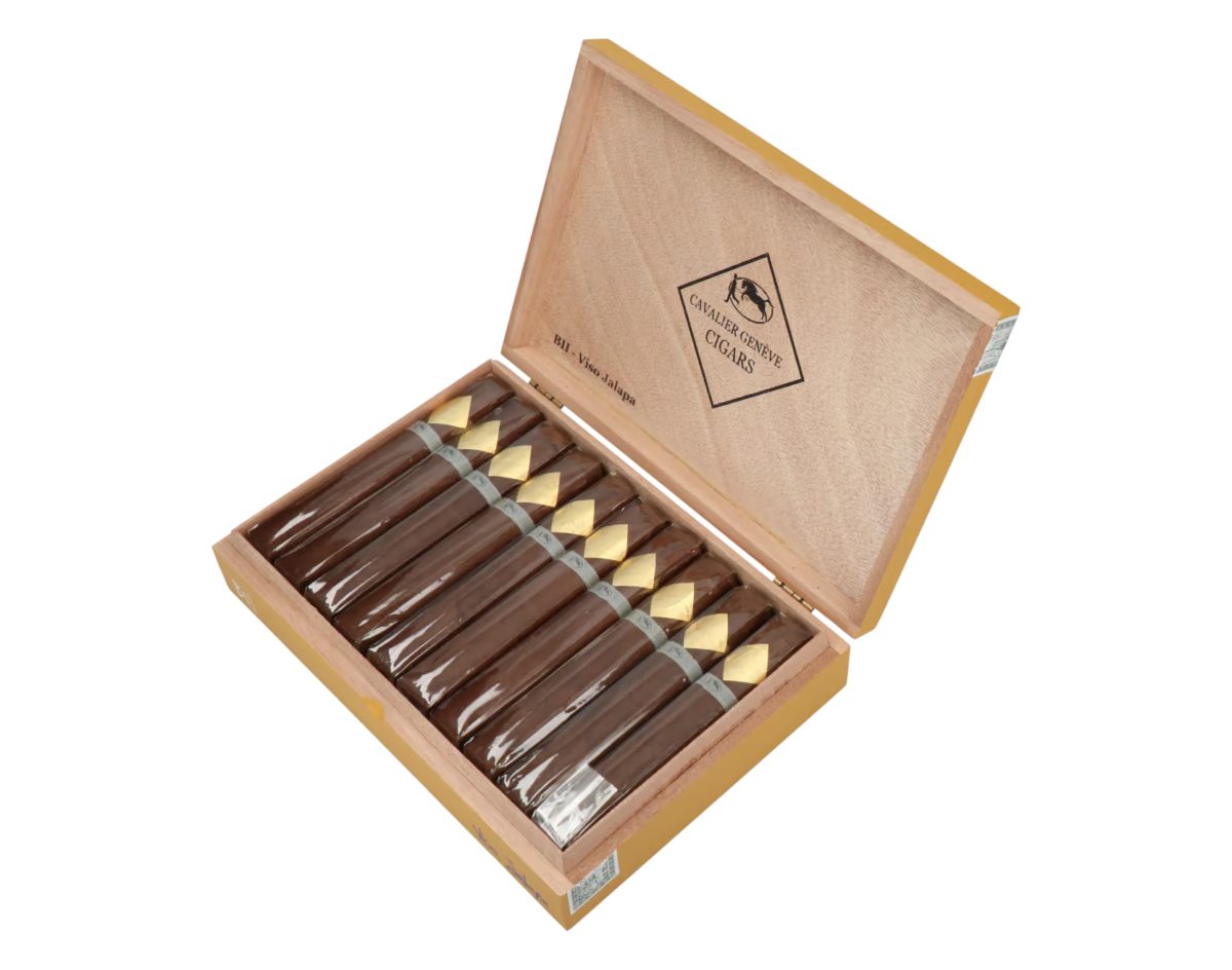 Cavalier Genève BII Viso Jalapa Toro Gordo – Bild 4