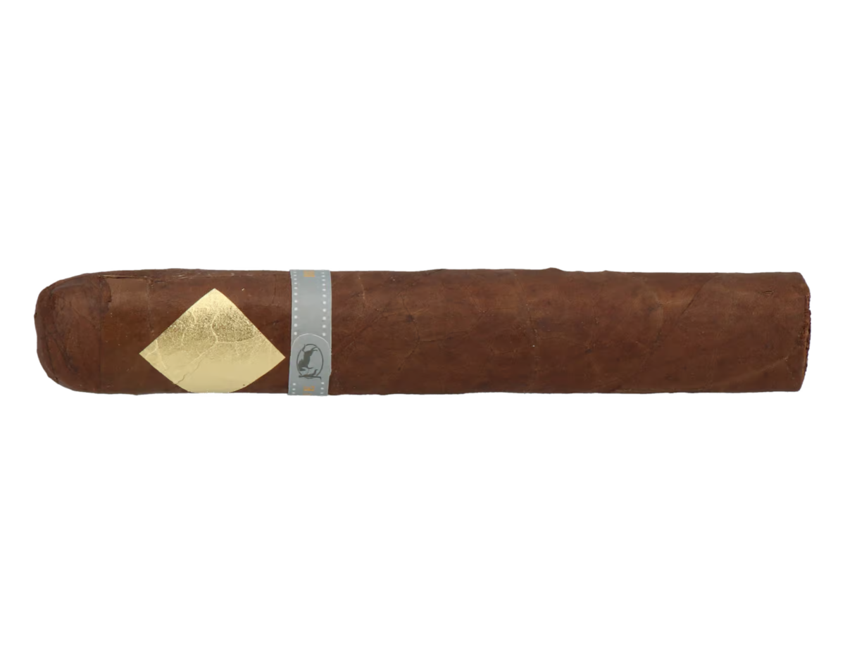 Cavalier Genève BII Viso Jalapa Toro Gordo – Bild 5