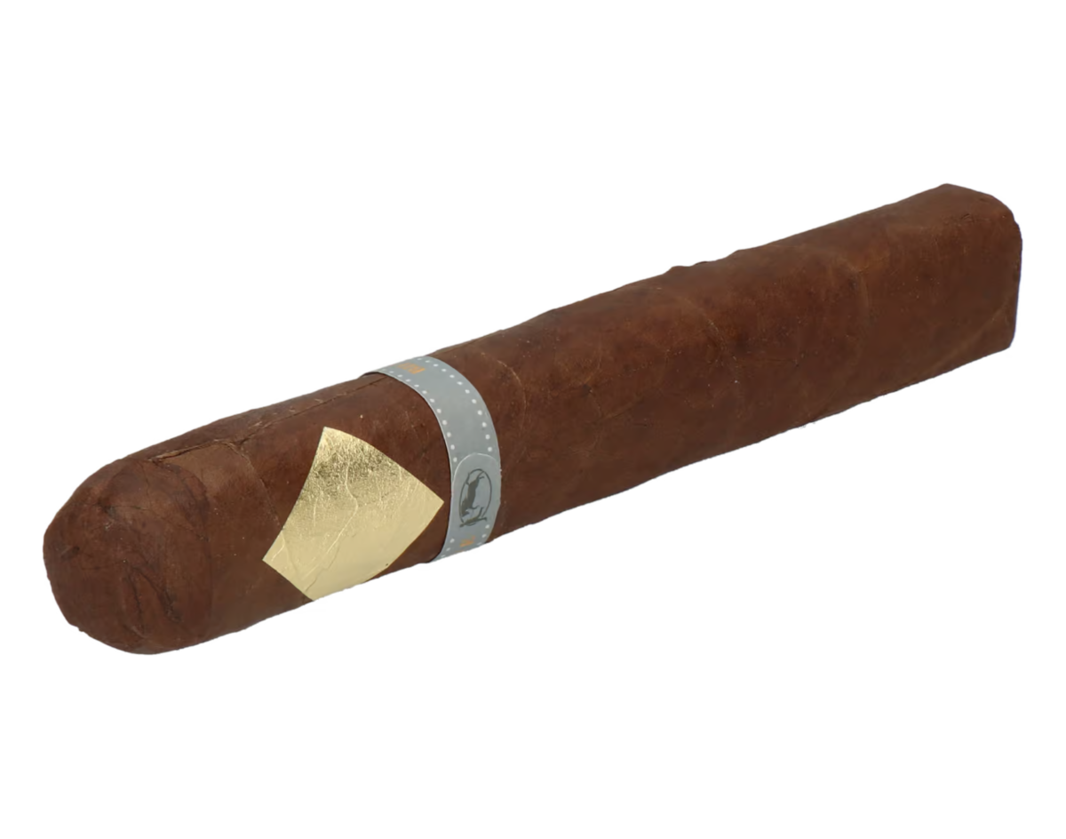 Cavalier Genève BII Viso Jalapa Toro Gordo – Bild 6