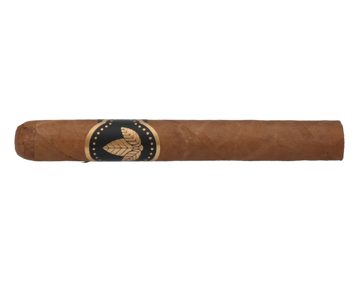 Confidenciaal Corona – Bild 4