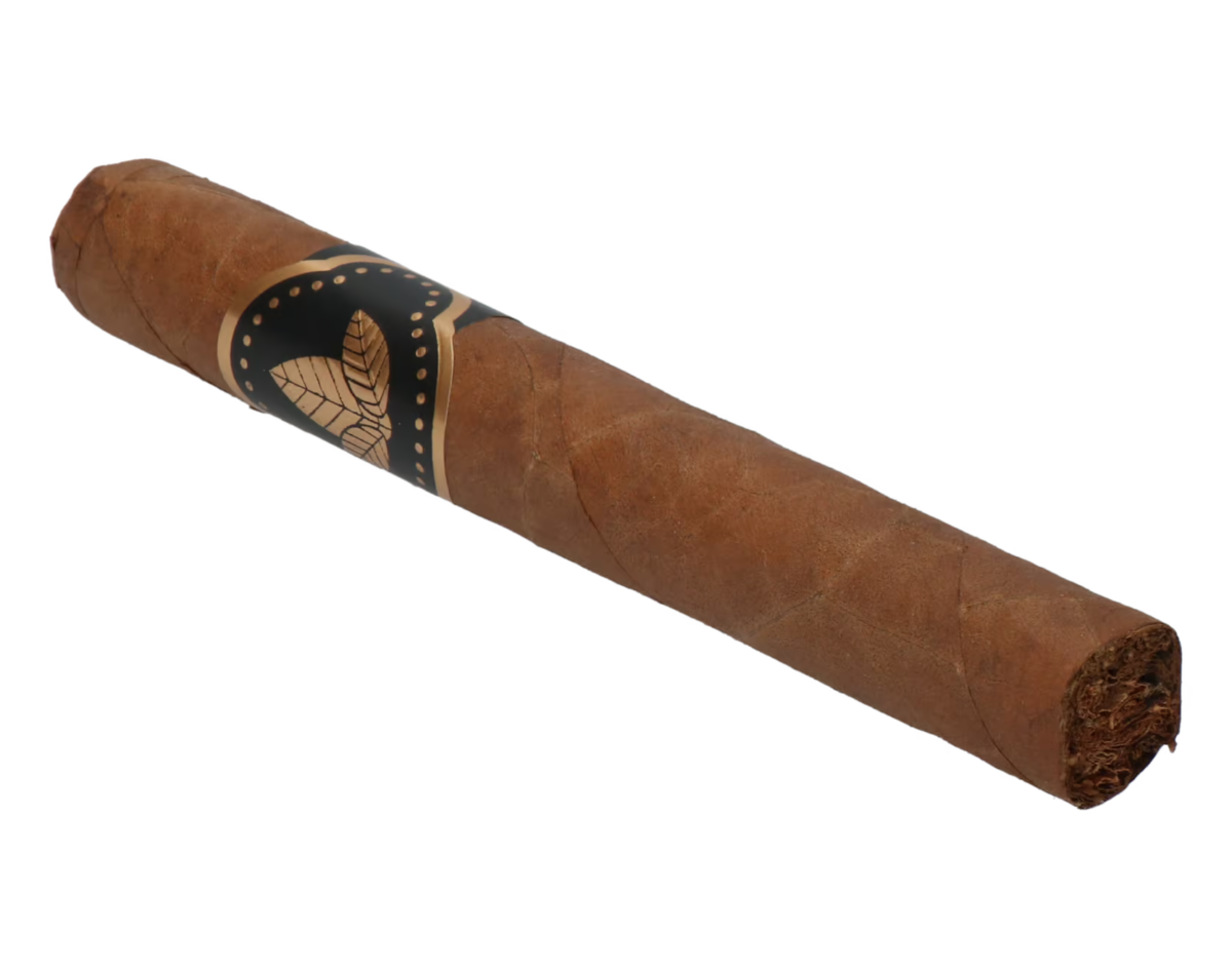 Confidenciaal Corona – Bild 6