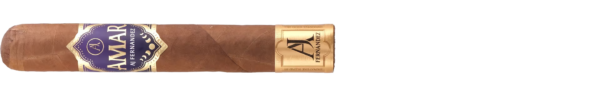 AJ Fernandez Amar Robusto