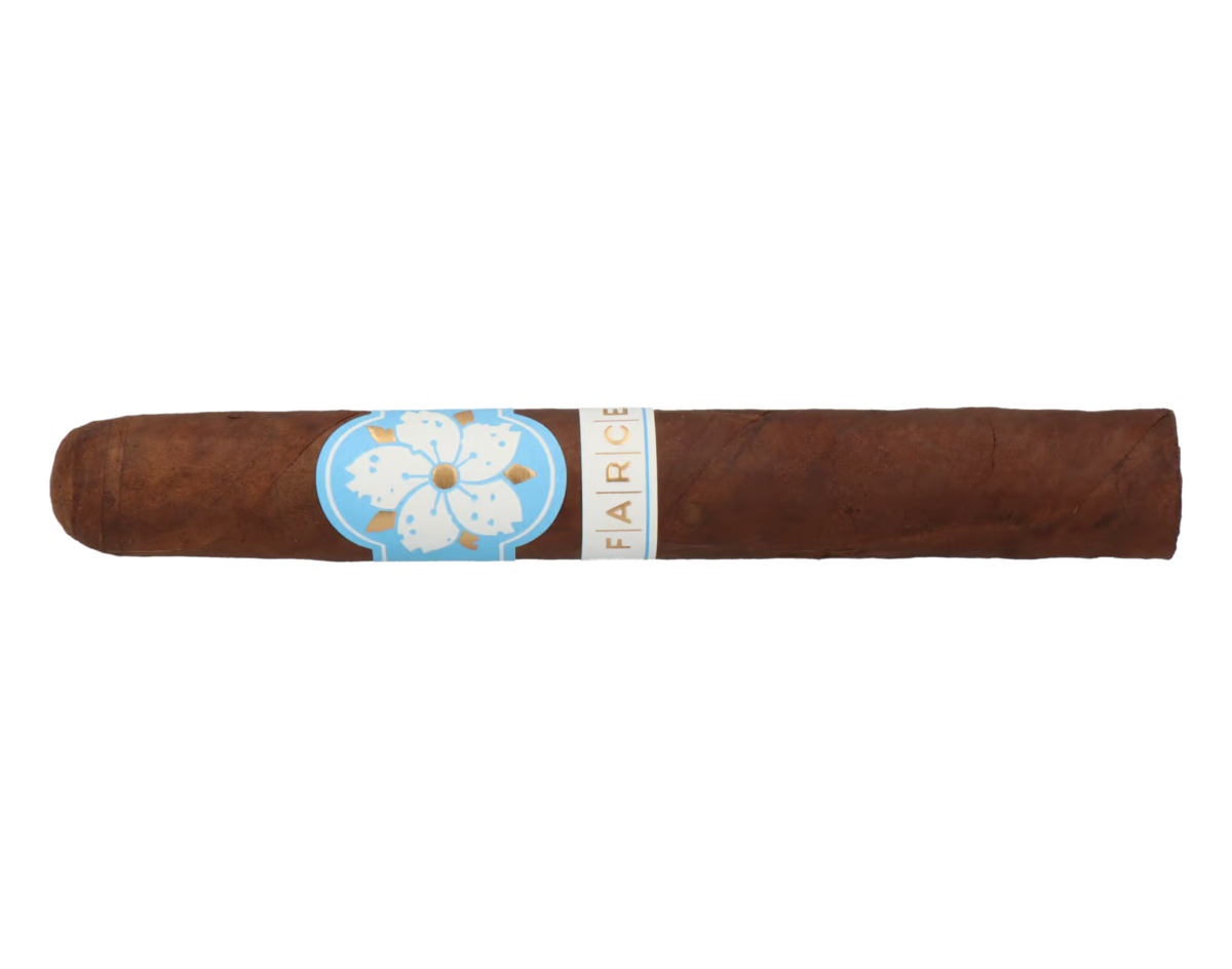 Room101 Farce Nicaragua Toro – Bild 5