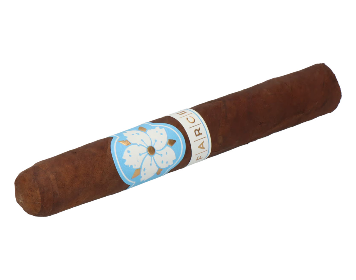 Room101 Farce Nicaragua Toro – Bild 6