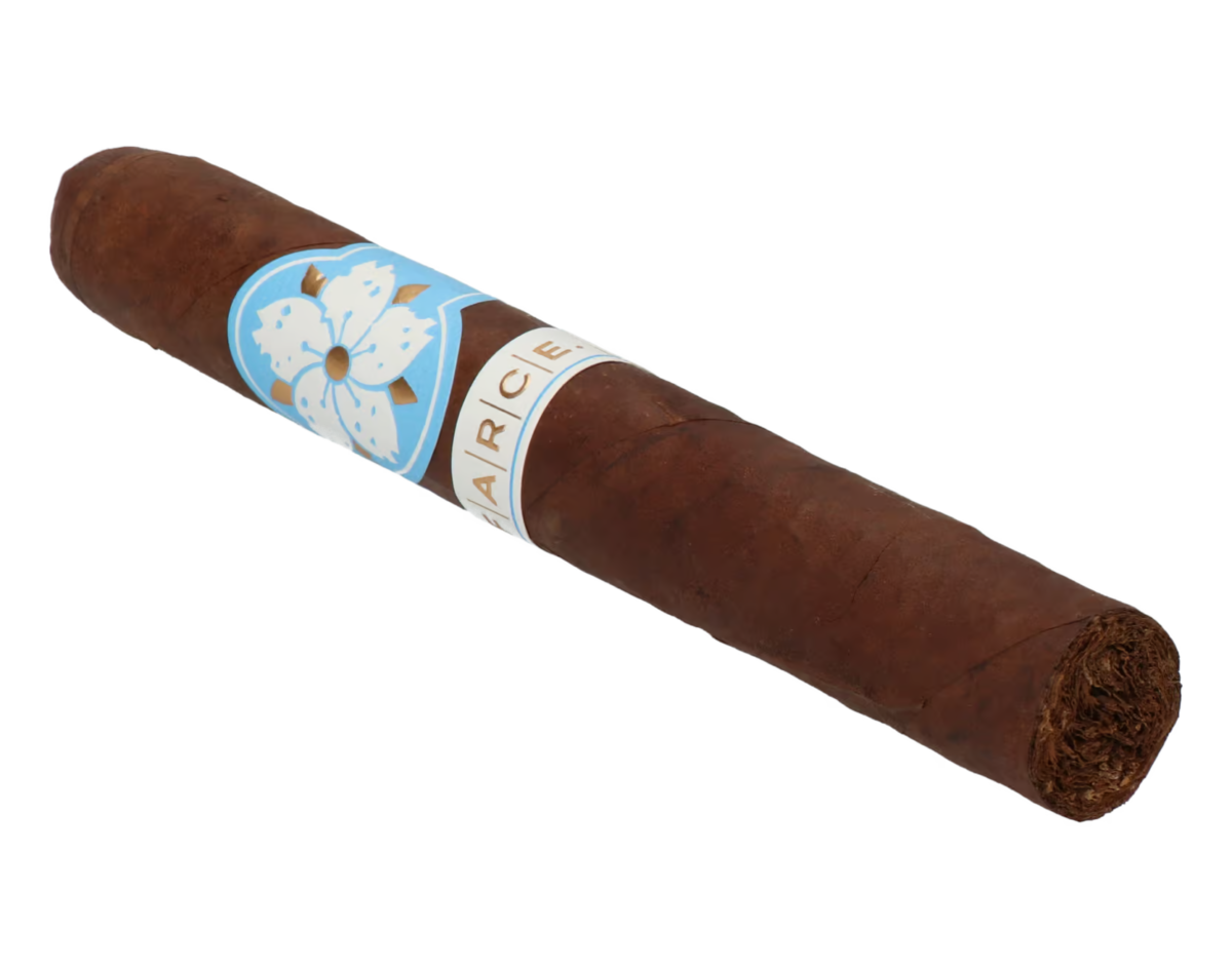 Room101 Farce Nicaragua Toro – Bild 7