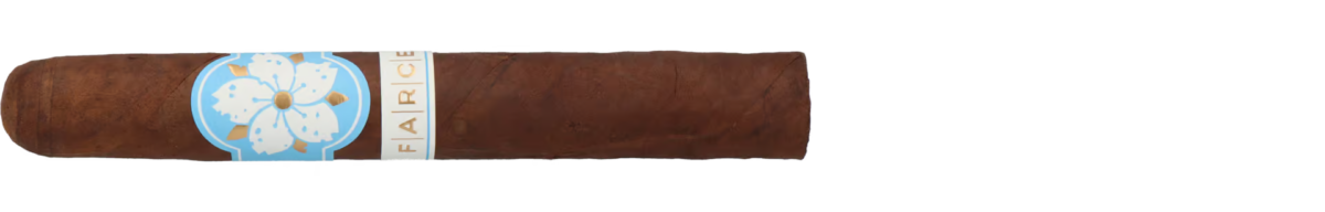 Room101 Farce Nicaragua Toro