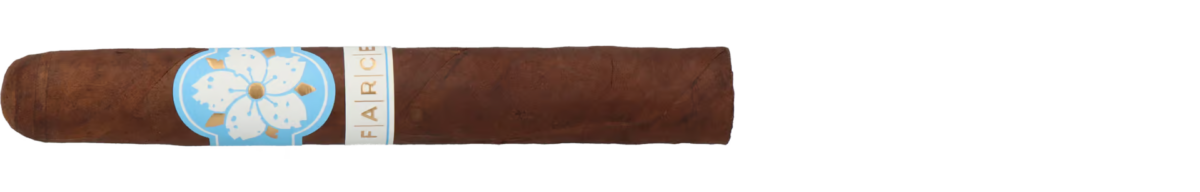Room101 Farce Nicaragua Toro