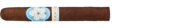 Room101 Farce Nicaragua Toro