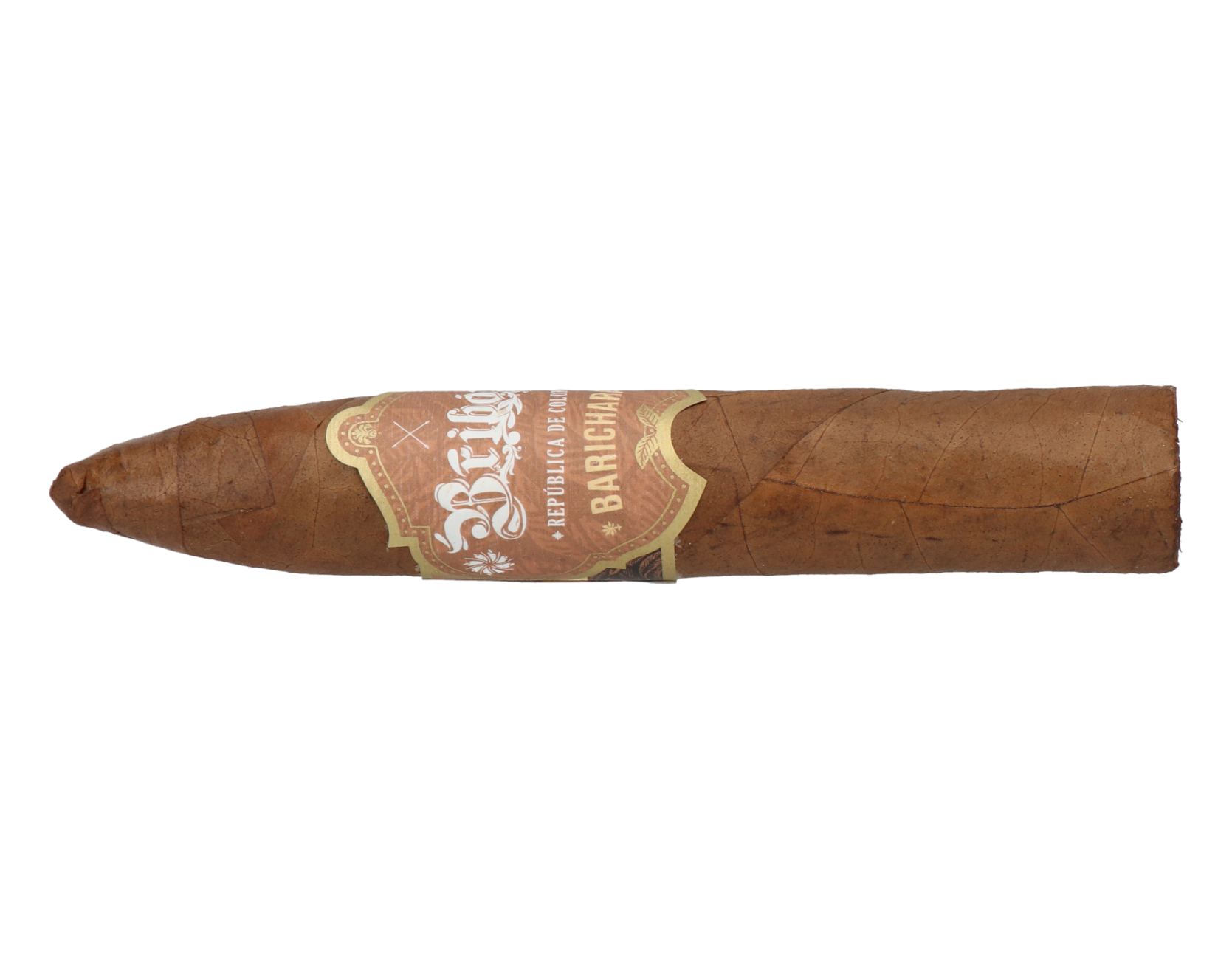Bribon Belicoso – Bild 5