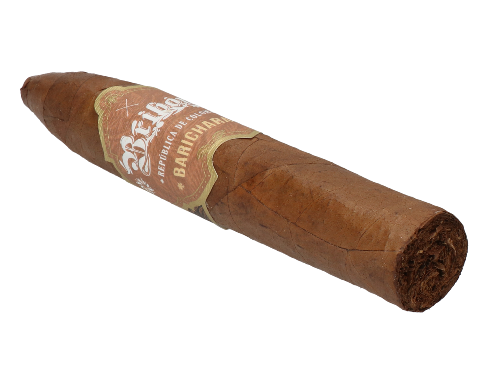 Bribon Belicoso – Bild 7