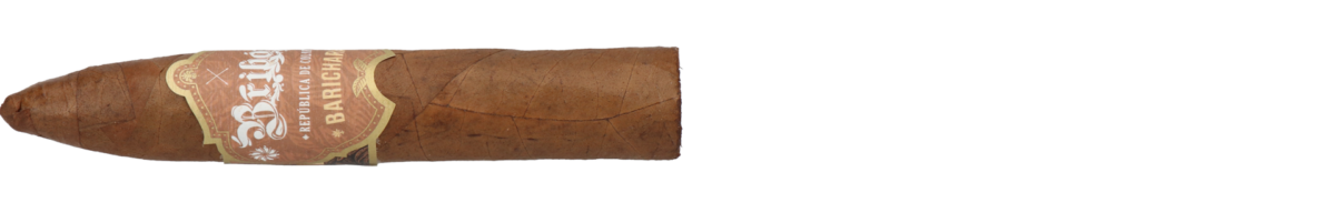 Bribon Belicoso