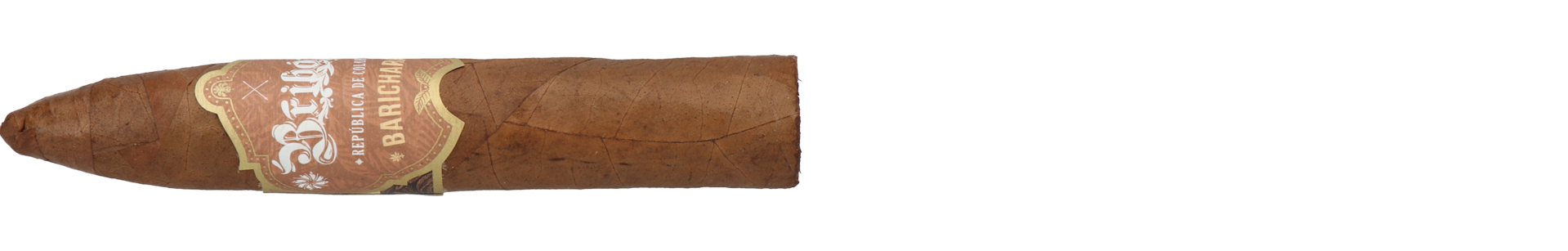 Bribon Belicoso