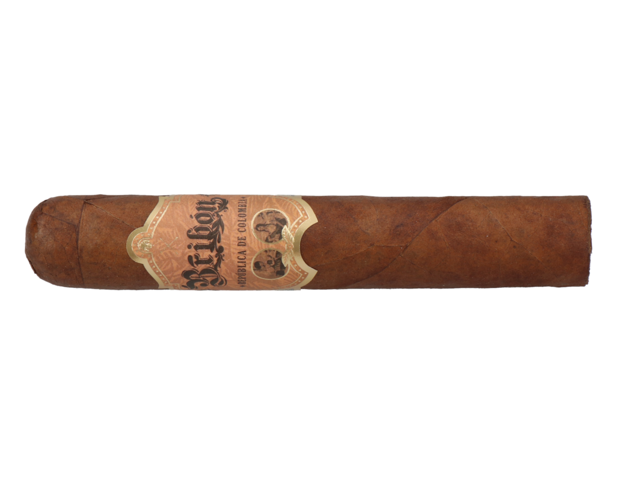 Bribon Robusto – Bild 5