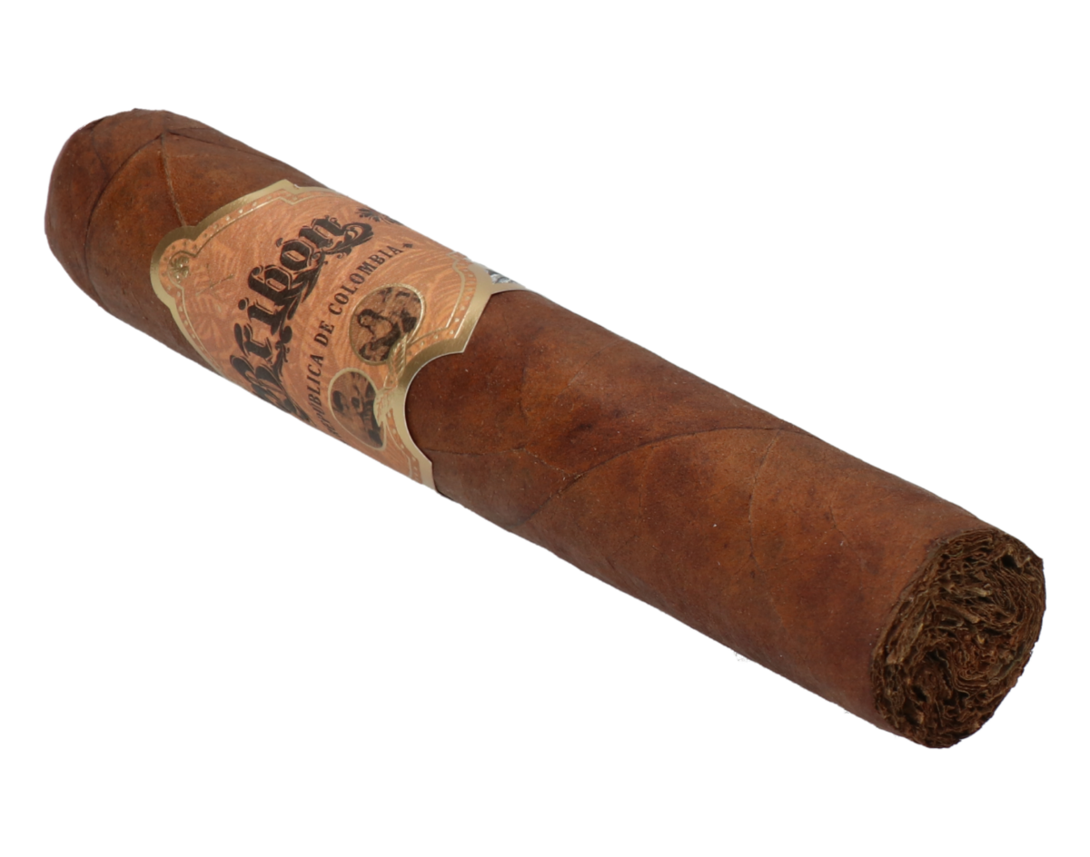Bribon Robusto – Bild 7