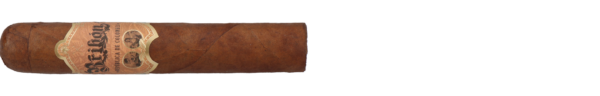 Bribon Robusto