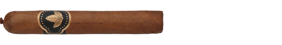Confidenciaal Fiftyfour Robusto Extra