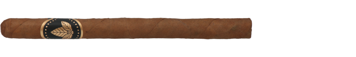 Confidenciaal Lancero