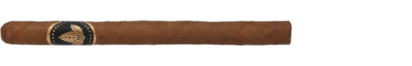 Confidenciaal Lancero
